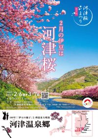 1015訂_河津桜2027_A4のサムネイル