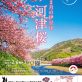 1015訂_河津桜2027_A4のサムネイル